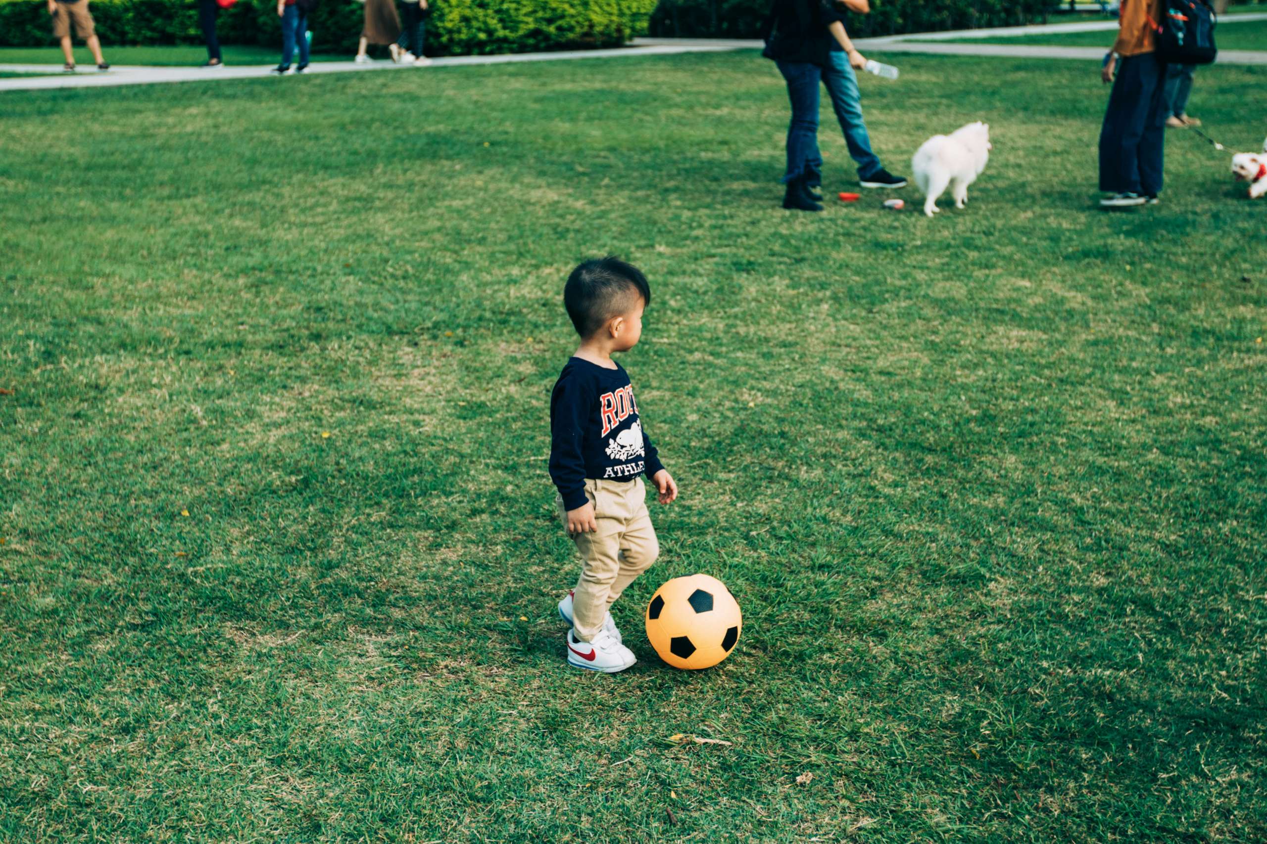 Tiny Champs